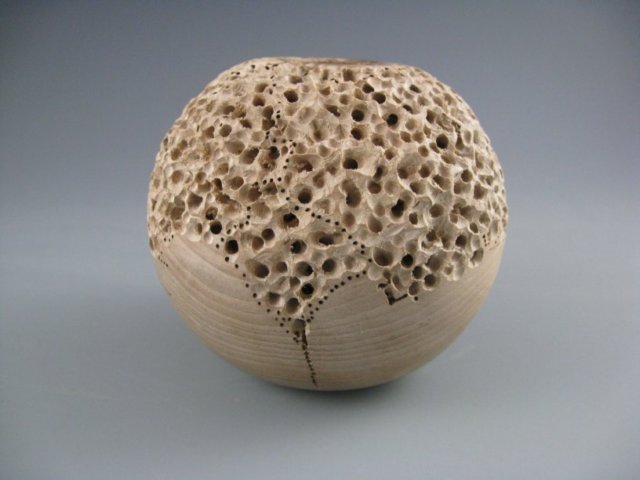 coralsideview.jpg